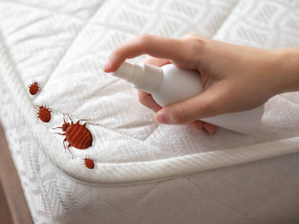 Best Best Pest Control Companies  in Penn Estates, PA